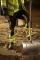 Projob 6540