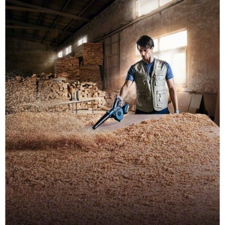 Bosch GBL 18V-120 SOLO