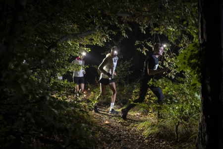 Pannlampa Orion 2500 RE Mareld