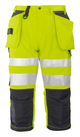 Projob 6510